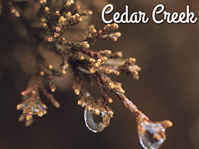 Cedar Creek Color Series Small