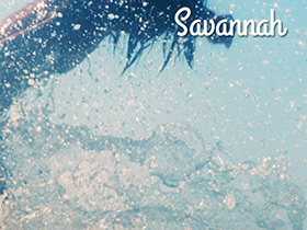 Savannah Color Series Small