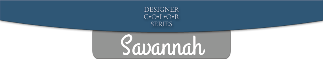 savannah boat dock series banner