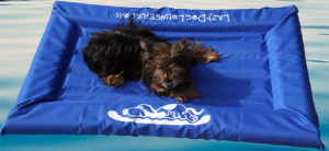 Flotation Systems Lazy Dog Loungers - Small