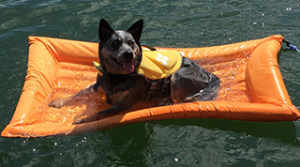 Flotation Systems, Inc. Aluminum Boat Docks - Lazy Dog Lounger
